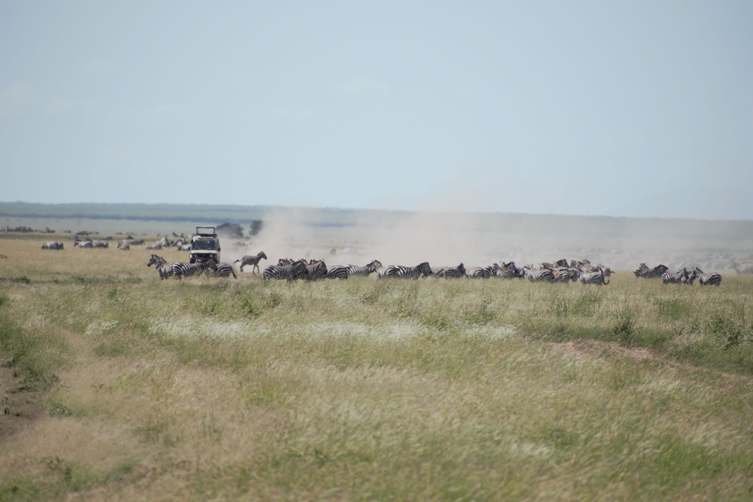 AFRICAN ROCK SAFARIS LIMITED gallery